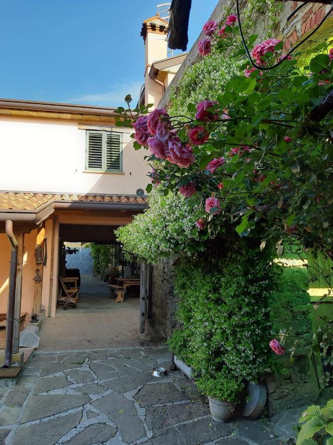 Il Glicine Bed & Breakfast San Dorligo della Valle Exterior photo