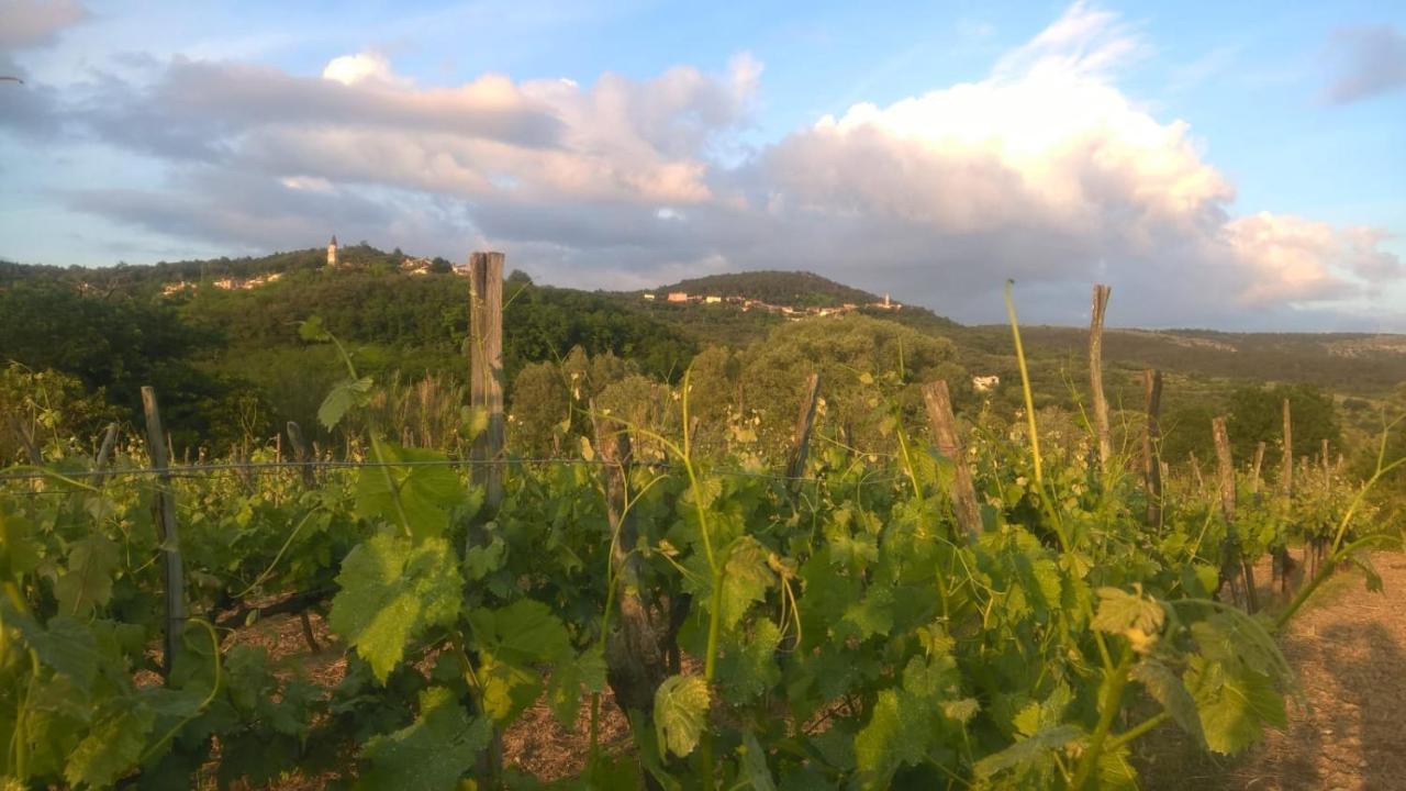 Il Glicine Bed & Breakfast San Dorligo della Valle Exterior photo