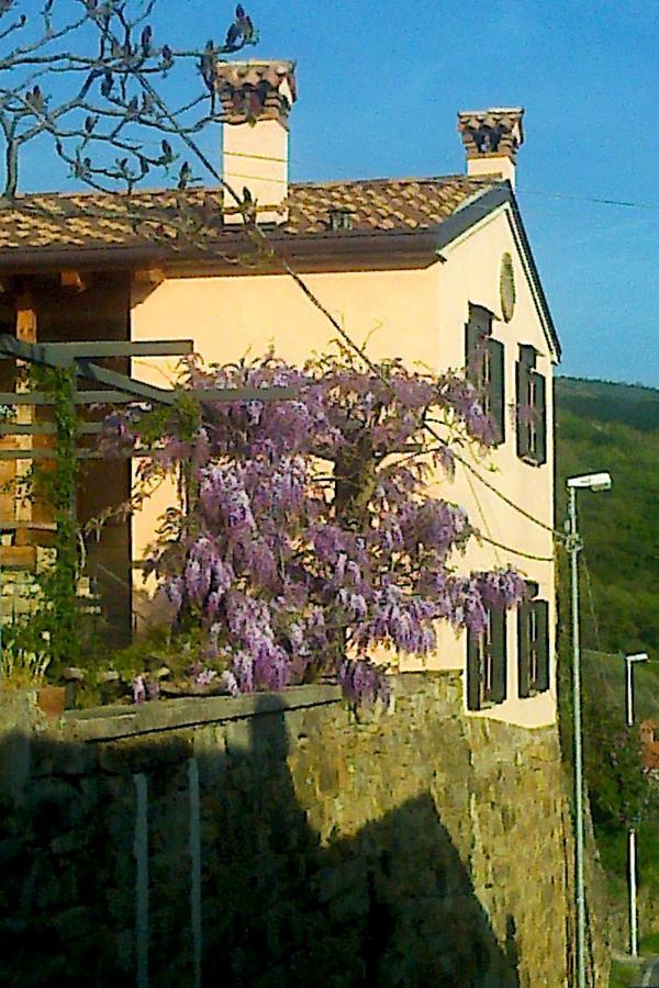 Il Glicine Bed & Breakfast San Dorligo della Valle Exterior photo