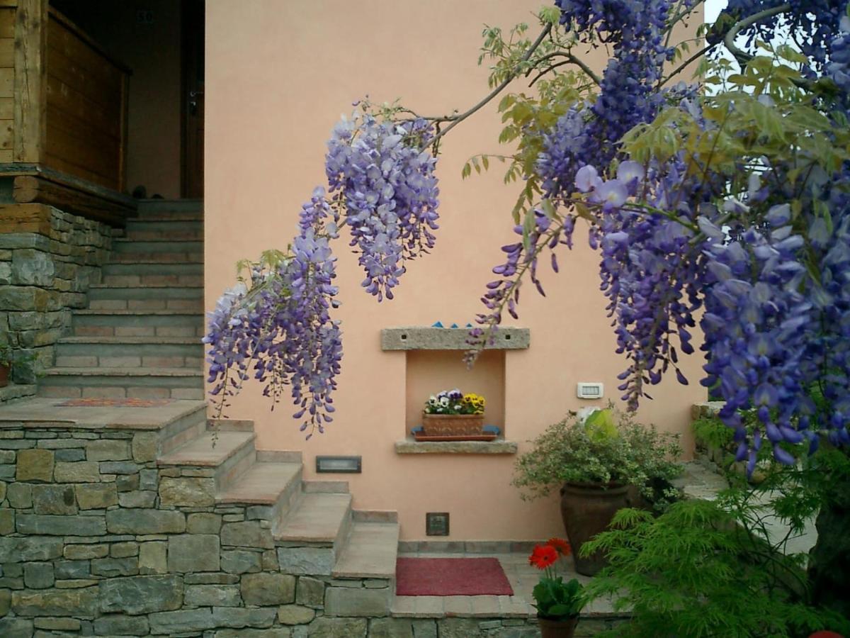 Il Glicine Bed & Breakfast San Dorligo della Valle Exterior photo