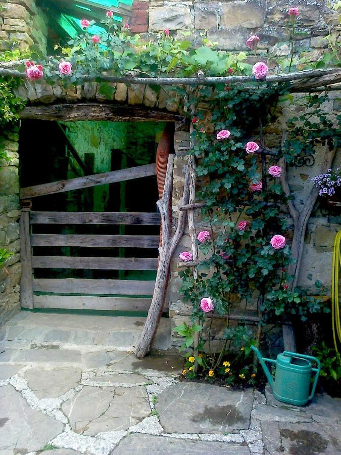 Il Glicine Bed & Breakfast San Dorligo della Valle Exterior photo