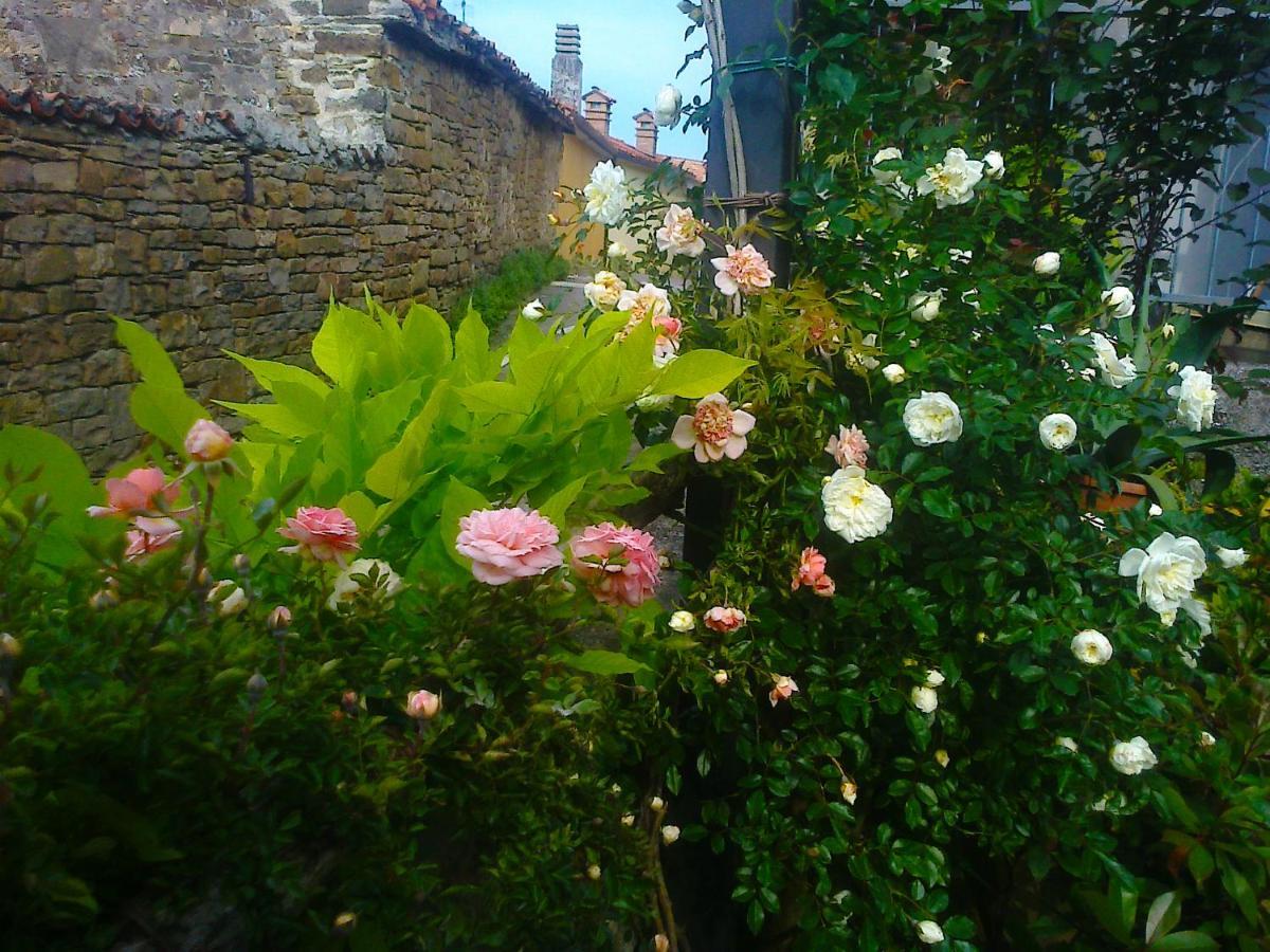 Il Glicine Bed & Breakfast San Dorligo della Valle Exterior photo