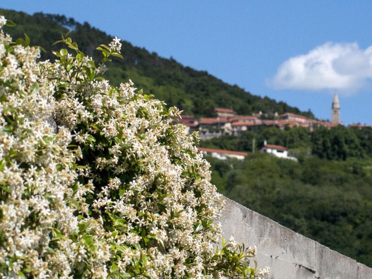 Il Glicine Bed & Breakfast San Dorligo della Valle Exterior photo