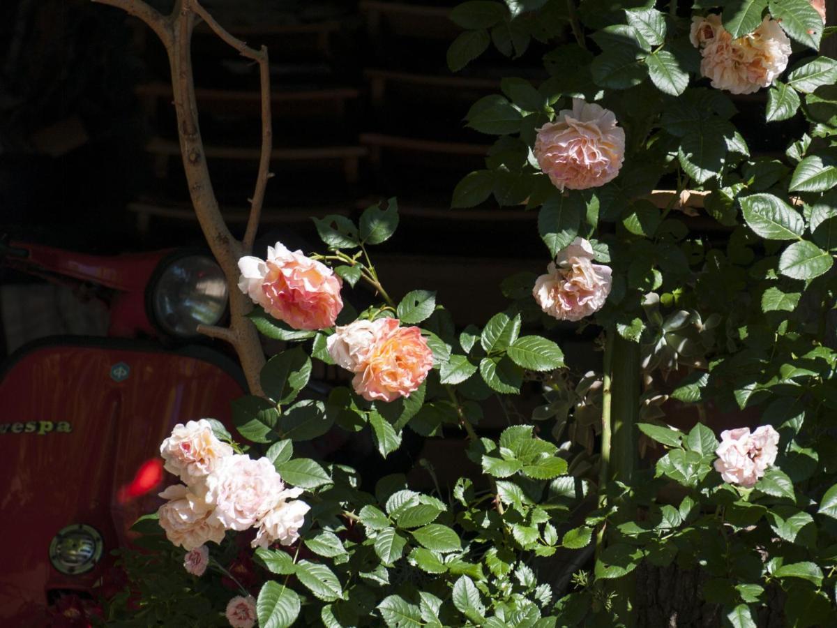 Il Glicine Bed & Breakfast San Dorligo della Valle Exterior photo