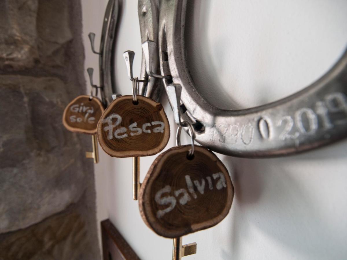 Il Glicine Bed & Breakfast San Dorligo della Valle Exterior photo