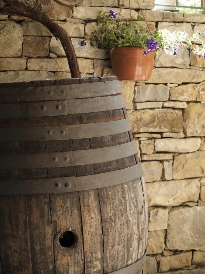 Il Glicine Bed & Breakfast San Dorligo della Valle Exterior photo