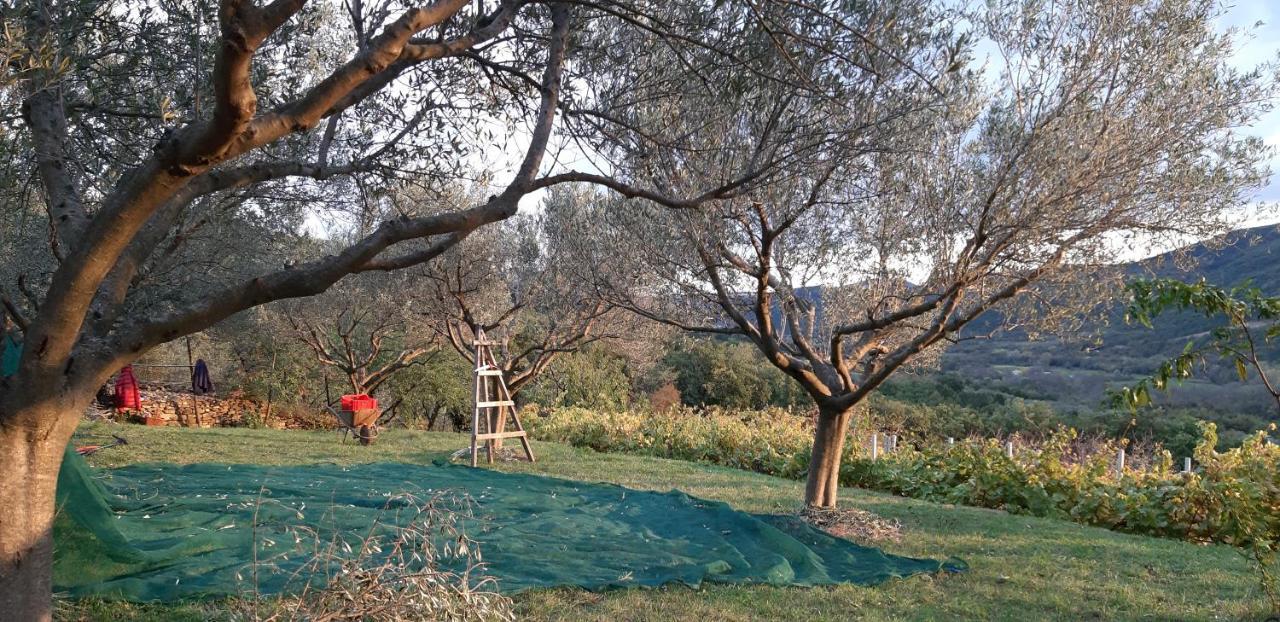Il Glicine Bed & Breakfast San Dorligo della Valle Exterior photo